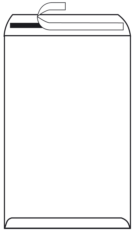 4008110338026 - Versandtasche DIN A4 ohne Fenster ohne Adressfeldtasche 100g m² mit Haftklebung Papier ohne Fadenverstärkung braun 4008110338026 10 Stück