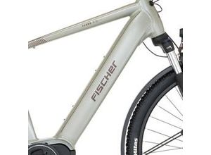 4008153042225 - FISCHER Terra 40I All Terrain Bike (ATB) (Laufradgröße 29 Zoll Rahmenhöhe 55 cm Herren-Rad 630 Wh Greige)