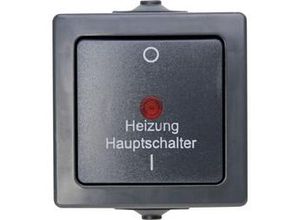 4008224632768 - Kopp Feuchtraum Heizungshauptschalter Nautic anthrazit 565315003