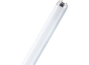 4008321331946 - Leuchtstoffröhre eek g (a - g) G13 18 w Kaltweiß Röhrenform (ø x l) 255 mm x 604 mm 1 St - Osram