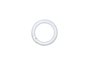 4008321581105 - Lumilux T9 22W Sockel G10Q 6500K dimmbar Ringleuchte - Osram