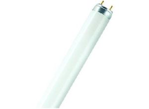 4008321923646 - Leuchtstofflampe 18W 830 xxt G13 590 mm - Osram