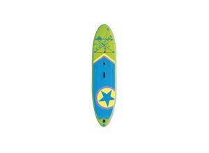 4008332166209 - Chiemsee - SUP-Set inkl Board Paddel Pumpe Leash & Rucksack (grün blau) Stand-Up Paddle