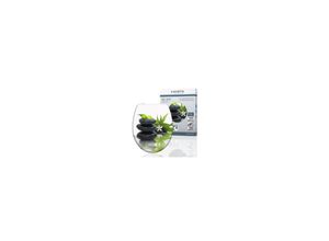 4008431823676 - WC Sitz JASMIN Duroplast Toilettendeckel mit Absenkautomatik und Schnellverschluss Klobrille Toilettensitz - Motiv 4008431823676 - WC Sitz JASMIN Duroplast Toilettendeckel mit Absenkautomatik und Schnellverschluss Klobrille Toilettensitz - Motiv