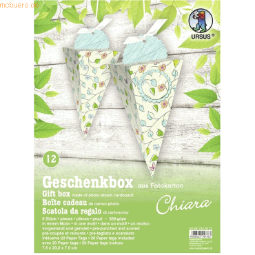 4008525147763 - Geschenkbox Chiara 75x20x75cm VE=5 Stück Motiv 12