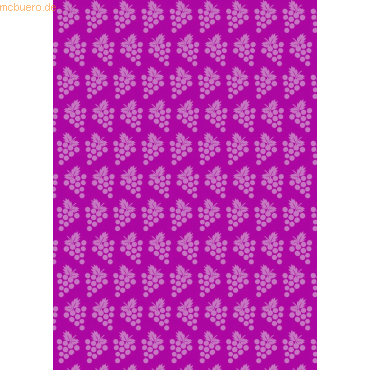 4008525149095 - 10 x Fotokarton Joy 300g qm A4 Motiv 05