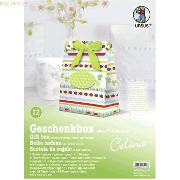 4008525151166 - Geschenkbox Celina 95x125x5cm VE=5 Stück Motiv 12