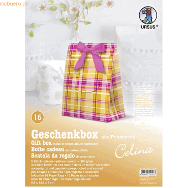4008525151203 - Geschenkbox Celina 95x125x5cm VE=5 Stück Motiv 16 4008525151203 - Geschenkbox Celina 95x125x5cm VE=5 Stück Motiv 16