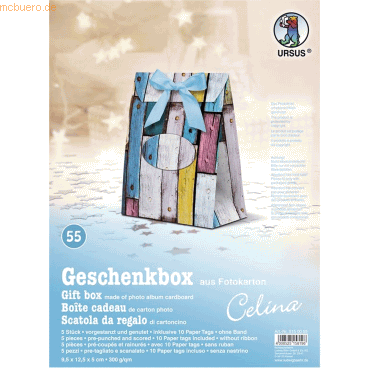 4008525158196 - Geschenkbox Celina 95x125x5cm VE=5 Stück Motiv 55