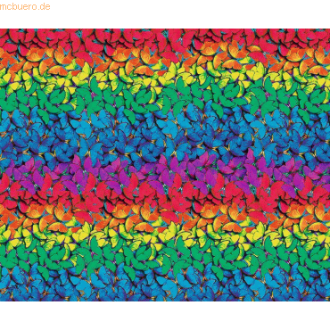 4008525245476 - 10 x Fotokarton Regenbogen-Schmetterling 300g qm 495X68cm