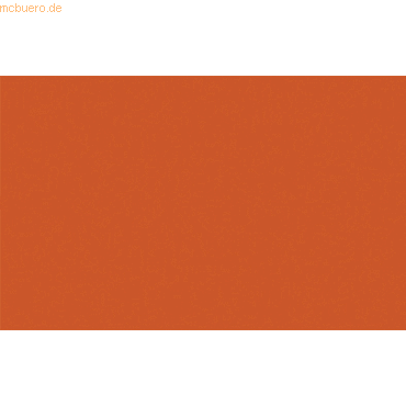 4008525505136 - 10 x Plakatkarton 380g qm 48x68cm orange