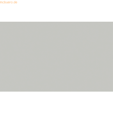 4008525505242 - 10 x Plakatkarton 380g qm 48x68cm hellgrau