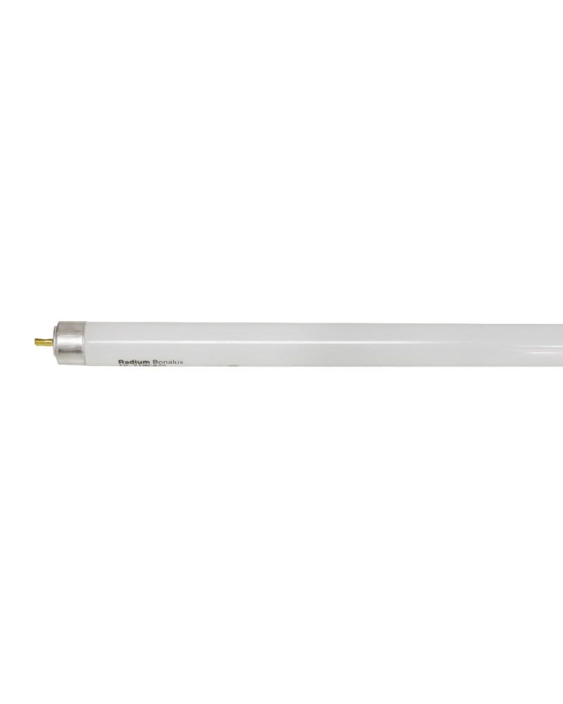 4008597142512 - Leuchtstofflampe NL-T5 21W 840 G5  EP 31114251 4008597142512