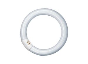 4008597196072 - Ring-Leuchtstofflampe T8 NL-T9 22W 840C G10Q - Radium Lampenwerk