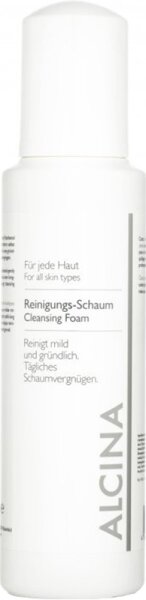 4008666355775 - B Reinigungs-Schaum 500 ml 4008666355775 - B Reinigungs-Schaum 500 ml