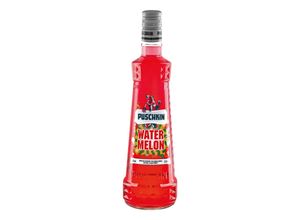 4008669390209 - Puschkin Watermelon 175 % Vol 07 Liter - Inhalt 6