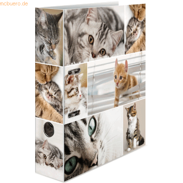 4008705071666 - Motivordner Motiv-Ordner Katzen Tiere Katzen 7166 A4 70mm breit 4008705071666 Herma 4008705071666 - Motivordner Motiv-Ordner Katzen Tiere Katzen 7166 A4 70mm breit 4008705071666 Herma