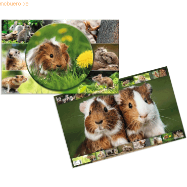 4008705196826 - 3 x HERMA Schreibunterlage 55x35cm Nagetiere