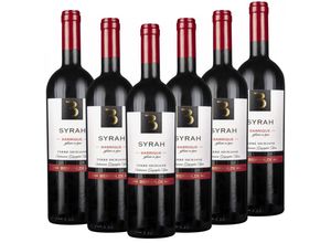 4008954224523 - Syrah Barrique - affinato in legno Terre Siciliane IGT Bertoldi Italien trocken - 6er Karton