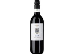 4008954229696 - Bio-Syrah Terre Siciliane IGT TerrAmore Italien trocken - 6er Karton