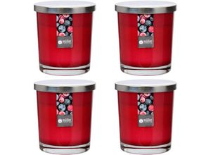 4009078807845 - - Maxi Duft-Kerzenglas Windlicht 110 95 mm mit Deckel Set 4 Stck Wild Berries