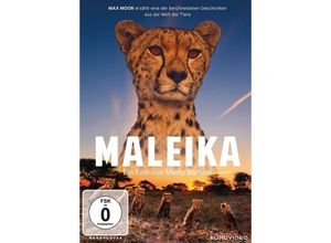 4009750233634 - Maleika (DVD)