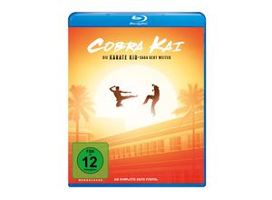 4009750303283 - Steve Pink - GEBRAUCHT Cobra Kai - Staffel 1 [Blu-ray] - Preis vom 28102023 050339 h