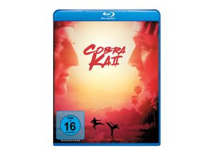 4009750303290 - Jon Hurwitz - GEBRAUCHT Cobra Kai - Staffel 2 [Blu-ray] - Preis vom 04062023 050858 h