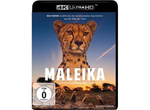 4009750304037 - Maleika (Blu-ray)