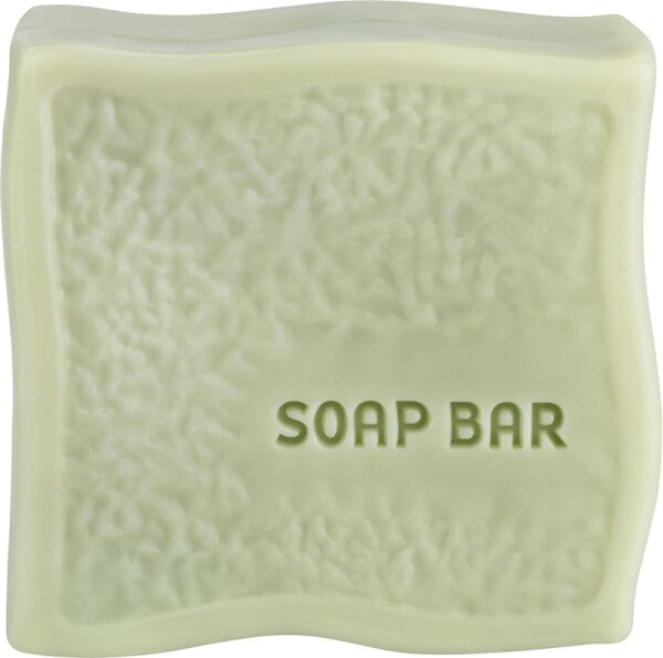 4009800004627 - Bionatur Soap Bar in Balance 100 g