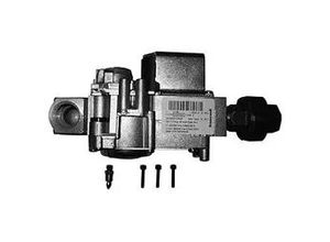 4010009543800 - BOSCH Ersatzteil TTNR 87290108510 Gasarmatur 87290108510