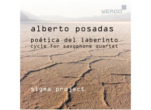 4010228739022 - Poética Del Laberinto - Sigma Project (CD)