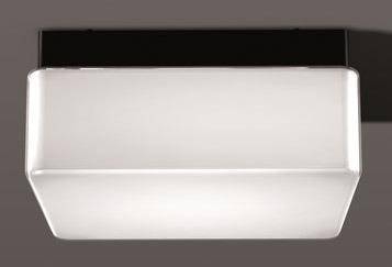 4010319019897 - RZB Opalglasl Baustein schwarz 20128003 75W E27 240X240 IP44 seidenglanz