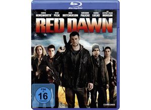 4010324039101 - Red Dawn (Blu-ray)