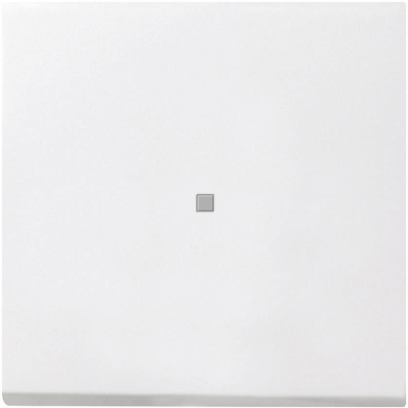 4010337044871 - GIRA 0290112 Wippe Kontrollfenster Flächenschalter Reinweiß glänzend