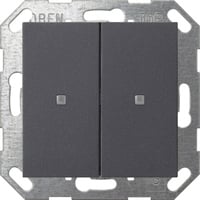 4010337090564 - Taster mit Wippe zweifach für Gira One und KNX System 55