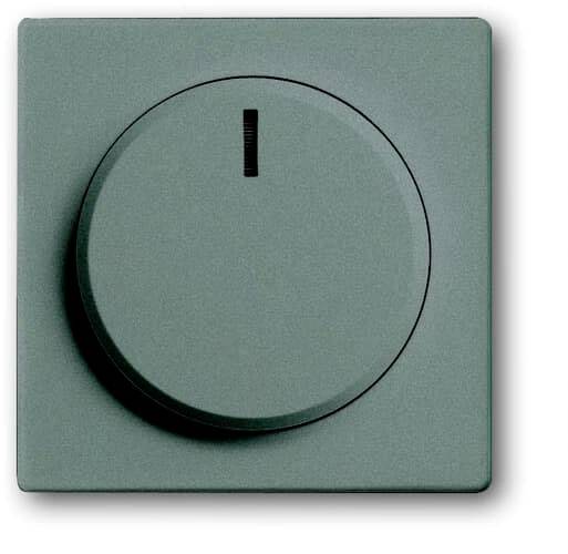 4011395137314 - BJ Zentralscheibe f 6540-803-102 Drehdimmer