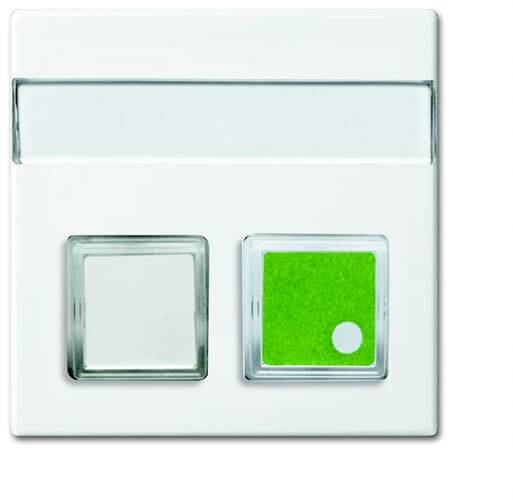 4011395192559 - BJ Zentralscheibe 1572 CN-914 Schriftfeld 2fach alpinweiß