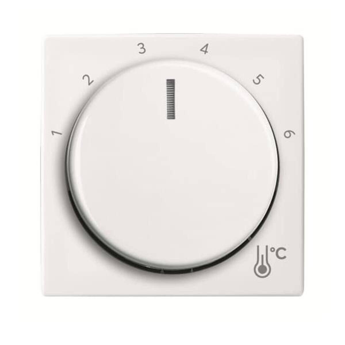 4011395323076 - BJ Zentralscheibe Temperatur 1794 R-914 rund alpinweiß