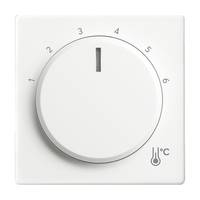 4011395323199 - BJ Zentralscheibe Temperatur 1794 R-884 rund reinweiß-matt 4011395323199 - BJ Zentralscheibe Temperatur 1794 R-884 rund reinweiß-matt