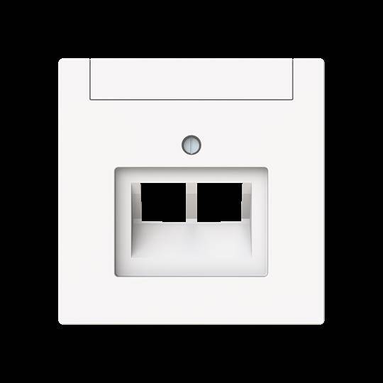 4011395328293 - BJ Zentralscheibe 2-fach UAE 1803-02-44M mBeschriftungsfeld Busch-art linear