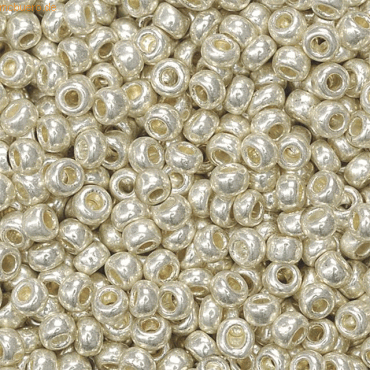 4011643089983 - 5 x Rocailles 25 mm silber VE=20g