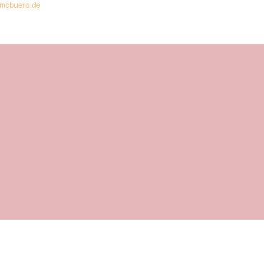 4011643657564 - 5 x Rollenfilz 45 cm 5m rosa 4011643657564 - 5 x Rollenfilz 45 cm 5m rosa