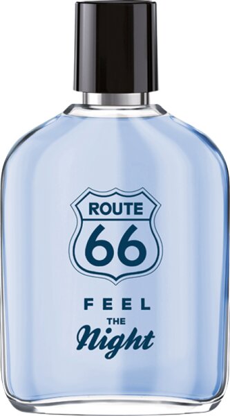 4011700932146 - Feel the Night After Shave Lotion 100 ml