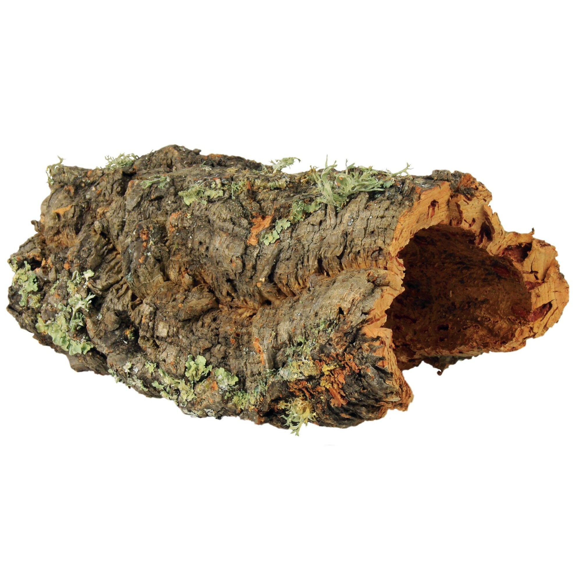 4011905764061 - Dekorationen Terrarium aus Korkrinde Trixie 4011905764061 - Dekorationen Terrarium aus Korkrinde Trixie