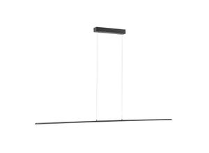 4012248344897 - PURE LED-Hängeleuchte Lite anthrazit 160 cm CCT dimmbar