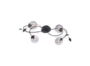 4012248351246 - Paul Neuhaus Widow LED-Deckenleuchte vierflammig