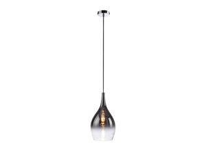 4012248366080 - Pendelleuchte Pilua in Schwarz-transparent E27 - black - Paul Neuhaus