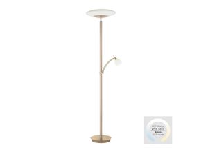 4012248367025 - Paul Neuhaus LED-Stehleuchte Troja mit Lesearm dimmbar gold