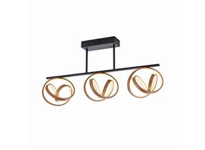 4012248367339 - Paul Neuhaus LED-Deckenleuchte Loop dimmbar dreiflammig